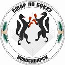 МБУ "СШОР по боксу" г.Новосибирск