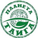 Планета Тайга