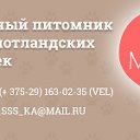 Питомник британских и шотландских кошек MeowClub