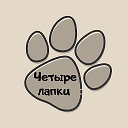 Помощь кошкам ЧЕТЫРЕ ЛАПКИ г.Брянск