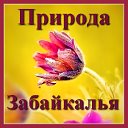 Природа Забайкалья