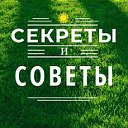 Секреты и советы