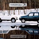 Ниваводы 36 rus