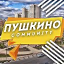 Пушкино Community