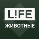 Life Животные