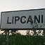 Lipcani