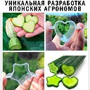 Фигурные формы для овощей Vegeform