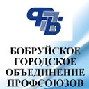 БОБРУЙСКОЕ ГОРОДСКОЕ ОБЪЕДИНЕНИЕ ПРОФСОЮЗОВ