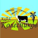 КФХ Колесниковых