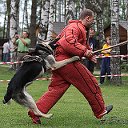 ФОРУМ ДЛЯ ЛЮБИТЕЛЕЙ  РАБОЧИХ СОБАК