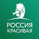 Россия красивая