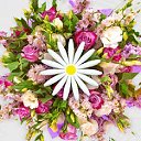 Megaflowers – круглосуточная доставка цветов