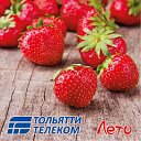 Тольятти Телеком - оператор связи