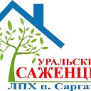 Саженцы в Челябинск Саргазы УралСад74