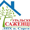 Саженцы в Челябинск Саргазы УралСад74