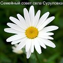 Семейный совет села Суруловка