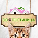 Гостиница для животных КОТАРИУМ в г. Петрозаводск
