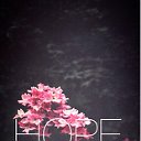 H.O.P.E. ᴿᵂ