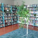 библиотека села Алёхино