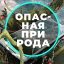 Опасная Природа