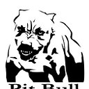 PIT BULL