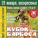 Выставка беспородных собак «Кубок Барбоса-2014»