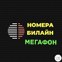 Элитные номера