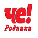 Родники ТВ