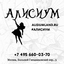 Мультимедийный игровой центр Алисиум