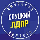 ЛДПР Амурская область