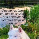 Приют для собак "Верность" Воронеж