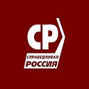 Справедливая Россия Санкт-Петербург