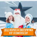 ДЕД МОРОЗ И СНЕГУРОЧКА 2018. БРЕСТ VIP-DEDMOROZ.BY