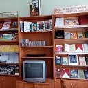 Саланчикская сельская библиотека Шум. р-на