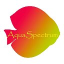 АquaSpectrum.ru - Аквариумы в СПб 🐠 🌱 💦