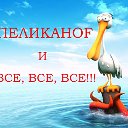 PELICANOF и ВСЕ