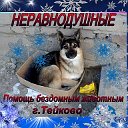 НЕРАВНОДУШНЫЕ.Помощь бездомным животным