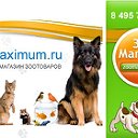 Zoomaximum.ru