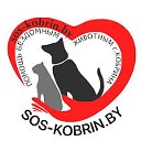 SOS - помощь бездомным животным г.Кобрина