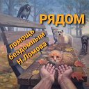 "РЯДОМ"-помощь бездомным животным г.Нижний Ломов