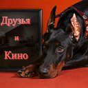 Друзья и Кино