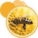 Apicultura-Пчеловодство