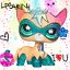 Фан-группа Littlest Pet Shop  ✓