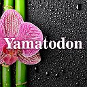 Yamatodon - Лучшие японские традиции для тебя!