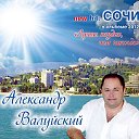 Официальная группа Александра Валуйского