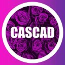 CASCAD - косметика, парфюмерия и бытовая химия