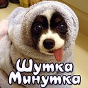 Шутка-минутка!