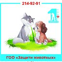 Приют для бездомных животных. Новосибирск
