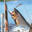 Охота и рыбалка в Туркменистане, а также туризм.