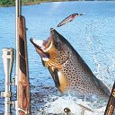 Охота и рыбалка в Туркменистане, а также туризм.
